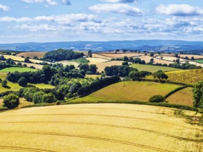 DefaultFarms and Fields over Torquay from a drone, Devon, England, United Kingdom