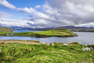 Farms over Loch Harport, Drynoch, Isle of Skye, Scotland, UK