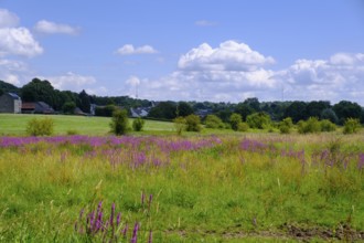 Château St. Gerlach, near Valkenburg aan de Geul, Limburg, Netherlands