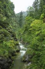 Wild and romantic Weißbach Gorge near Inzell