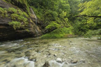 Wild and romantic Weißbach Gorge near Inzell