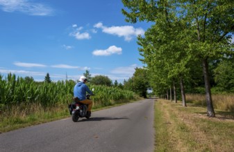 Cyclist on a cycle path between corn fields and trees along the route between Frankfurt am Main and