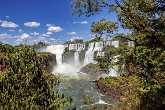 Waterfalls in the heart of the jungle under a clear sky, The Iguazu Falls between Argentina and