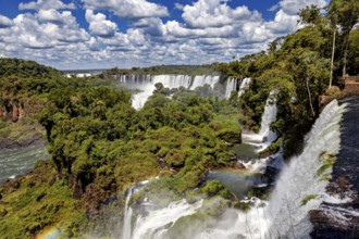 Several magnificent waterfalls and rainbows amidst lush vegetation under clear skies, The Iguazu