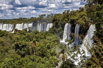 Majestic waterfalls in the dense jungle under a cloudy blue sky, The Iguazu Falls between Argentina