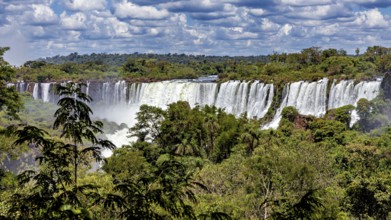Grandiose waterfalls in a powerful river embedded in dense vegetation under a wide sky, The
