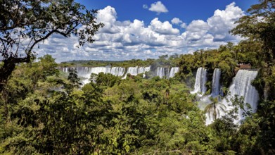Dense vegetation surrounds the powerful flowing waterfalls under a cloudy sky, The Iguazu Falls