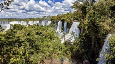 Sweeping views of several waterfalls that run through dense vegetation and reach the sky, The