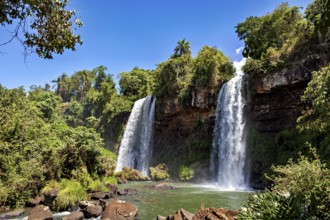 Two waterfalls pouring down amidst dense vegetation and bright sunshine, The Iguazu Falls between