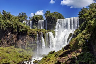 Large waterfalls surrounded by dense vegetation against a blue sky, The Iguazu Falls between