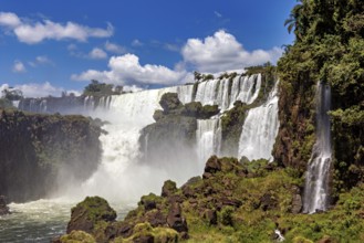 Waterfalls with spraying water mist and lush vegetation, The Iguazu Falls between Argentina and