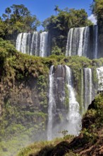 High waterfalls flow through lush green vegetation in sunny weather, The Iguazu Falls between