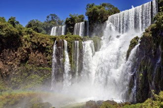 High waterfalls surrounded by lush vegetation under a bright blue sky, The Iguazu Falls between