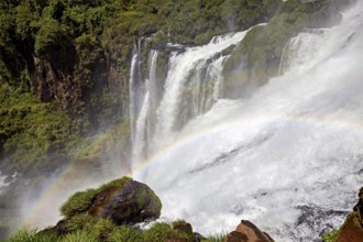 Powerful waterfall with spray and rainbow over mossy rocks in a natural setting, The Iguazu Falls