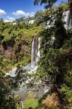 A narrow waterfall plunges through lush greenery and dense vegetation onto stony ground, The Iguazu