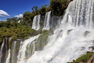Massive waterfalls create dense spray and a rainbow, surrounded by green forest and blue sky, The