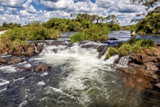 Tranquil river landscape with rapids and surrounding vegetation, the Iguazu waterfalls between