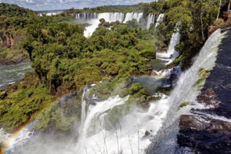 Dramatic waterfall with rainbow and splashing spray amidst dense vegetation, The Iguazu Falls