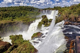 Impressive waterfall with adjoining wooden walkway and dense vegetation, The Iguazu Falls between
