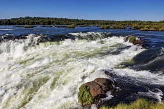 Slightly turbulent river with small rapids, the waterfalls of the Iguazu between Argentina and