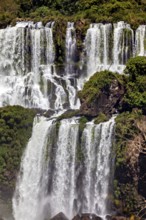 Stepped waterfall with dense vegetation on the rocks, powerful flow, The Iguazu Falls between