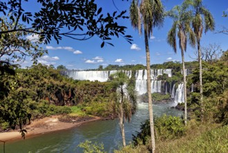 Picturesque views of waterfalls and palm trees offer a tropical panorama under a bright blue sky,