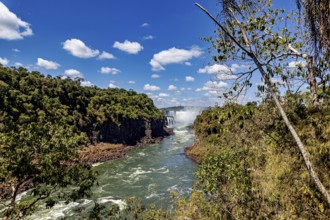 River and waterfall with surrounding lush greenery, The Iguazu Falls between Argentina and Brazil