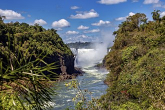 River with waterfall, surrounded by dense vegetation, The Iguazu Falls between Argentina and Brazil
