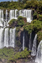 Steep, living waterfalls with lush green vegetation and large rocks, The Iguazu Falls between