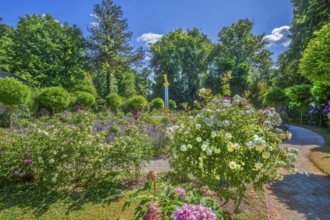 Rosarium with blooming roses and lavender on the Rose Island in Lake Starnberg, Feldafing, Upper