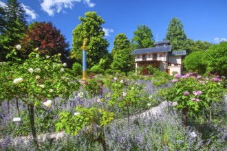 Rosarium with blooming roses in front of the Pompeian-Bavarian Casino on the Rose Island in Lake