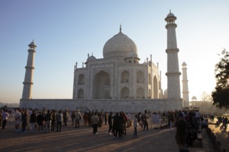 Taj Mahal or Taj Mahal in the morning light, mausoleum, Agra, Uttar Pradesh, India