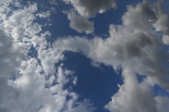 Cluster clouds (cumulus), Bavaria, Germany