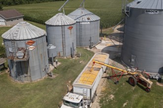 Martin, Michigan - Corn is loaded onto a truck from grain storage bins in west Michigan