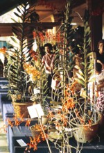 People attending flower show at the Singapore Turf Club, The 4th World Orchid Conference,