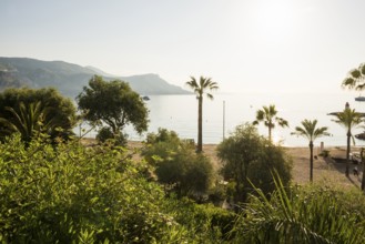 Beach, Plage Cros Dei Pin, Saint-Jean-Cap-Ferrat, Cap Ferrat, Alpes Maritimes, Provence Alpes Cote