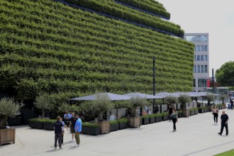 Climate protection. Europe's largest green façade 30, 000 young hornbeams thrive on the roof and