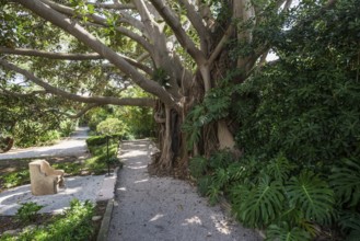 Park, Villa Ephrussi de Rothschild, Saint-Jean-Cap-Ferrat, Cap Ferrat, Alpes Maritimes, Provence