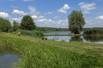 Fish ponds, Fischers Land Boek, Mecklenburg Lake District, Mecklenburg-Western Pomerania, Germany