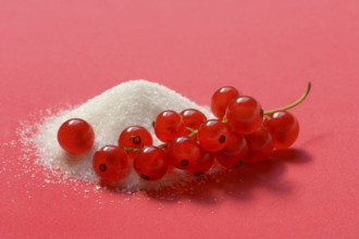 Redcurrants and piles of sugar