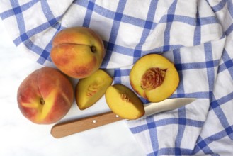 Peach with knife on kitchen towel, peach halves, Prunus persica