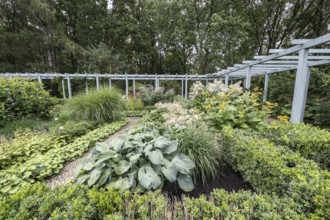 Karl Förster Garden, Gardens of the World, Berlin, Germany