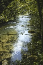 Mangfall near Bruckmühl, district of Miesbach, Upper Bavaria, Bavaria, Germany