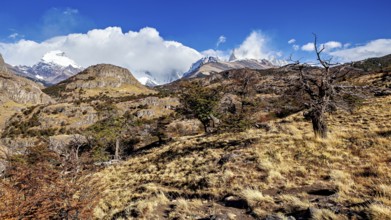 Mountain landscape with dry trees and grasses under a partly cloudy sky, The landscape of Patagonia