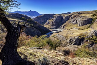 Deep gorge with a river surrounded by steep cliffs and solitary trees, the Patagonian landscape