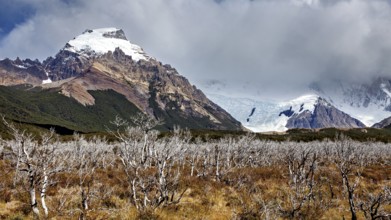 Mountain landscape with snow-covered peaks and a cloud cover over thorny bushes, The Patagonian