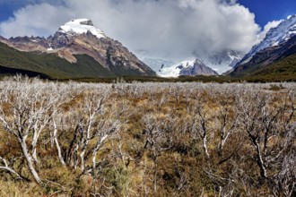 View of snow-capped mountains under dramatic clouds over a wild plain with shrubs, The Patagonian
