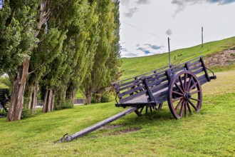 Abandoned wooden wagon on a green hill next to a row of trees, Historic horse-drawn wagon or