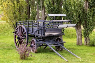 An old wooden wagon with flowers in the foreground under trees, Historic horse-drawn wagon or