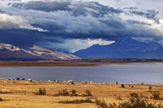 A wide lake under dramatically threatening clouds, surrounded by majestic mountains: the Patagonian